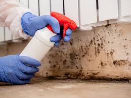 Best Indoor Air Quality Assessment  in Tatamy, PA